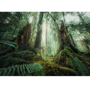 Nature Edition - Dans les Bois 1000 Pièces  Ravensburger pas cher