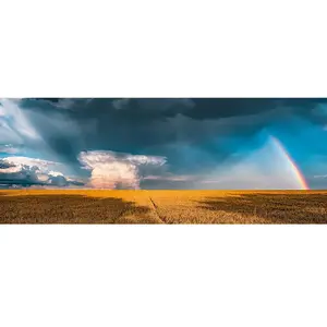 Nature Edition - Météo Arc-en-ciel Mystique 1000 Pièces Ravensburger pas cher