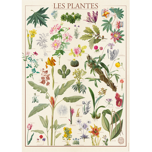 Muséum National d'Histoire Naturelle - Les Plantes 1500 Pièces  Nathan