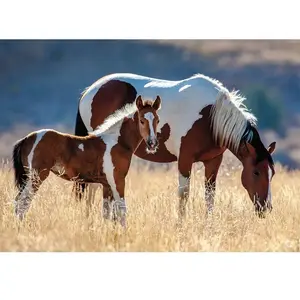 Nathan Puzzle 1500 pièces : Chevaux Dans La Forêt pas cher