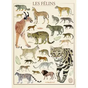 Nathan Ravensburger Puzzle 500 pièces : Muséum national d'Histoire naturelle : Les félins pas cher