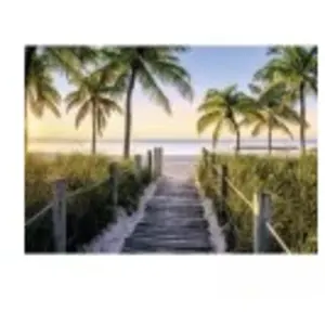 Nathan Ravensburger Puzzle 1000 pièces : Plage de Floride pas cher
