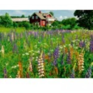 Ravensburger Puzzle de 500 pièces : Ferme en Suède pour des heures de détente - Neuf pas cher