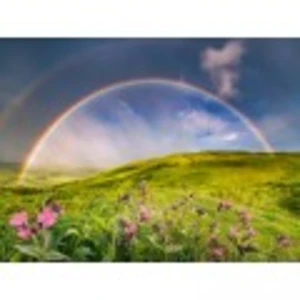 Ravensburger Puzzle Paysage Arc-en-ciel (12000800) 1500 Pièces pas cher