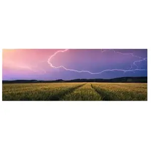 Ravensburger Puzzle 500 pièces - Panorma Nature édition : Orage d'été pas cher