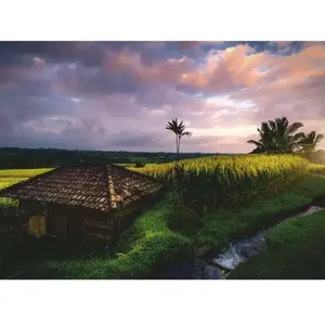 Nature Edition - Rizières au Nord de Bali 500 Pièces  Ravensburger pas cher