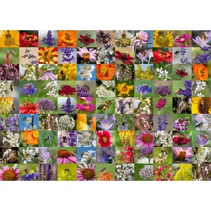 Abeilles 1000 Pièces Ravensburger pas cher
