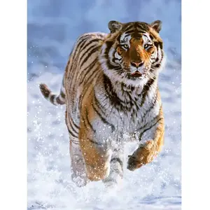 Tigre dans la Neige 500 Pièces Ravensburger pas cher