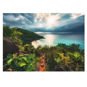 Ravensburger Puzzle 1000 pièces - Hawaï (Puzzle Highlights, Îles de rêve) pas cher