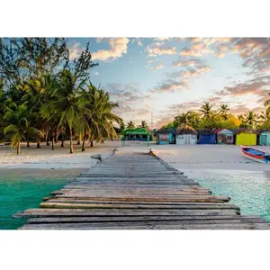 Beautiful Islands - Maldives 1000 Pièces  Ravensburger pas cher