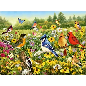 Oiseaux 500 Pièces Ravensburger pas cher