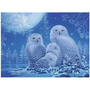 Ravensburger Puzzle Glow in the Dark - Chouettes au Clair de Lune pas cher