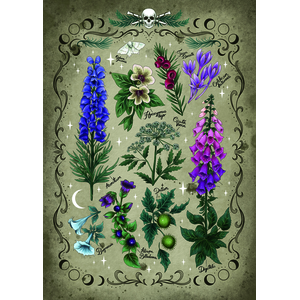 Plantes Toxiques 1000 Pièces  Ravensburger pas cher