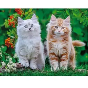 Nathan Puzzle 2000 pièces : Chatons Sibériens pas cher