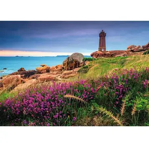Nathan Puzzle 1500 pièces : La Côte Atlantique - Collection Régions de France pas cher