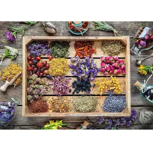 Nathan Puzzle 1500 pièces : Les plantes médicinales pas cher