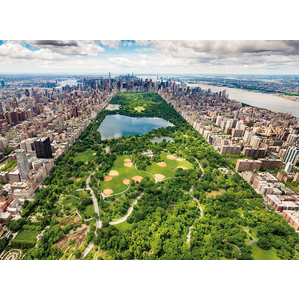 Ravensburger Nathan Vue sur Central Park pas cher