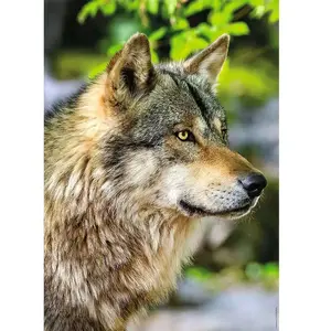 Nathan Ravensburger Puzzle 1000 pièces : Collection Vie Sauvage - Loup gris européen pas cher