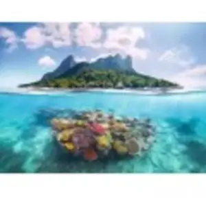 Ravensburger Puzzle pour adultes 500 pièces - Île et monde corallien pas cher