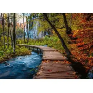 Ravensburger Puzzle 1000 pièces : Chemin boisé d'automne pas cher