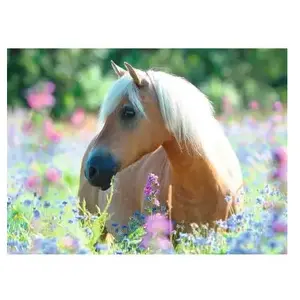 Puzzle 300 pièces Ravensburger - Cheval sur champ de fleurs pas cher