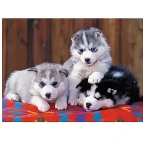 Ravensburger - Puzzle Enfant - Puzzle 200 p XXL - Mignons Huskies - Dès 8 Ans - 12823 pas cher