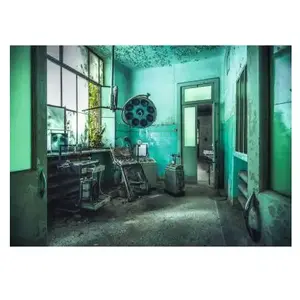 Puzzle Ravensburger L'hôpital psychiatrique Lost Places pas cher