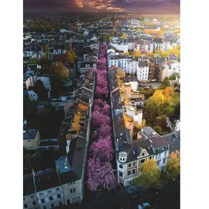 Comparateur de prix : Puzzle 1500 pièces Ravensburger Bonn en fleurs