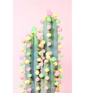 Puzzle - Ravensburger - Cactus - 200 pièces - Paysage et nature - Blanc pas cher