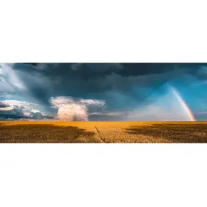 Ravensburger Puzzle 1000 pièces panoramique :  Arc-en-ciel mystique (Nature edition)