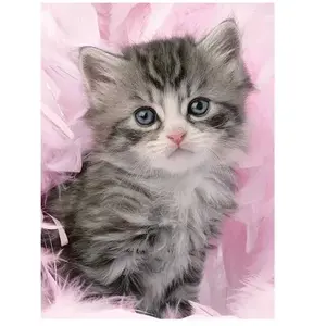 Ravensburger - Puzzle Adulte - Puzzle 500 p - Douceur de Chaton - 14136 pas cher