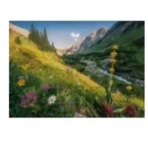 Puzzle Ravensburger - Dans le jardin d'Eden, 1000 pièces pas cher