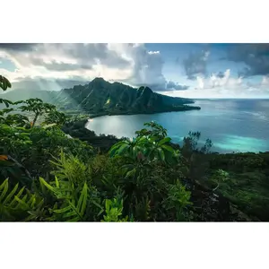 Comparateur de prix : Puzzle 5000 pièces Ravensburger Vue sur Hawaï