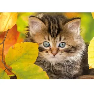 Ravensburger Puzzle 1500 pièces - Collection Tendresse - Chaton en automne pas cher