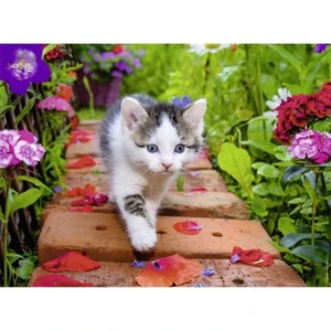 Puzzle 500 pièces Nathan Chaton au jardin Ravensburger 335x231x37 mm pas cher