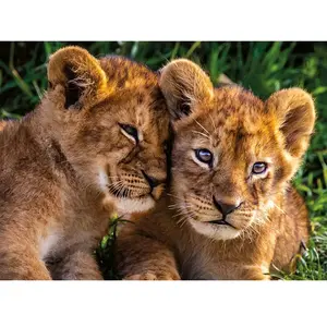 Puzzle 250 pièces - Adorables lionceaux - Nathan - Animaux - Mixte - A partir de 7 ans pas cher