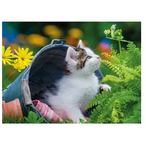 Ravensburger Puzzle enfant Nathan Petit chaton curieux 250 pièces pas cher