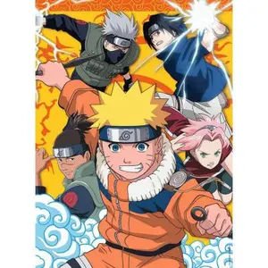 Comparateur de prix : Puzzle 250 pièces Nathan Naruto à l'académie des ninjas