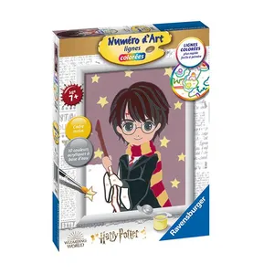 Ravensburger Numero d art lignes colorees Harry Potter, petit modele pas cher