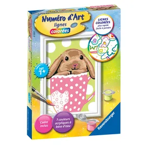 Comparateur de prix : Mini coffret Numéro d'Art Ravensburger