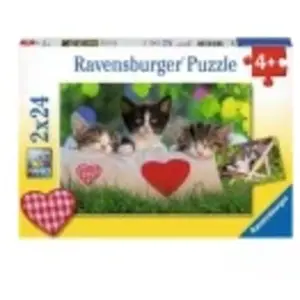 Ravensburger 2x24 p Chatons au repos puzzle pas cher