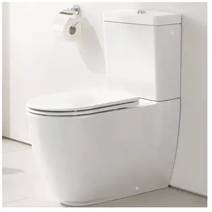 Grohe Essence Cuvette au sol, 3957200H,Vendu paramazon