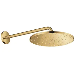 Grohe Rainshower Set de douche de tête, 1 jet, 26558GL0, pas cher