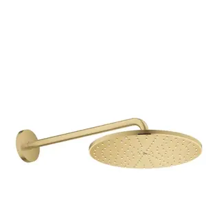 Grohe Rainshower Set de douche de tête, 1 jet, 26558GN0, pas cher