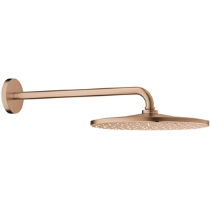 Grohe Rainshower Set de douche de tête, 1 jet, 26558DL0, pas cher