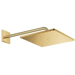 Grohe Rainshower Cube Set de douche de tête, 1 jet, 26564GL0, pas cher