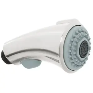 Grohe Zedra Douchette, 46173SD0, pas cher