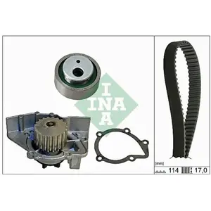 INA Pompe à eau + kit de courroie de distribution 530025830 pas cher