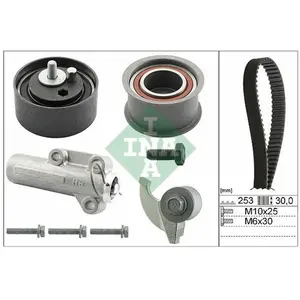 INA 530 0179 10 Kit de distribution