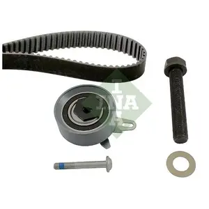 INA 530 0172 10 Kit de distribution pas cher